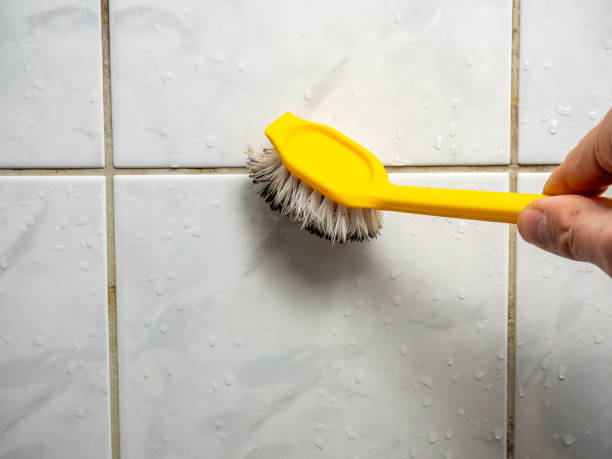 Best Mold Removal Company Near Me  in North Hills, NY
