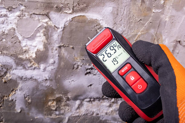 Best Local Mold Removal Service  in North Hills, NY