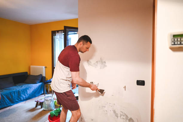 Best Best Mold Removal Companies  in North Hills, NY